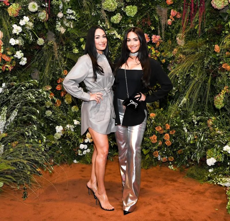Nikki Bella Eyeing WWE Return—But Only If Brie Joins Her