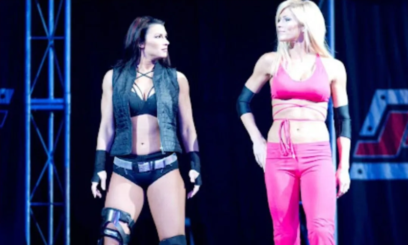 Torrie Wilson Welcomes Baby Girl: A New Chapter Unfolds